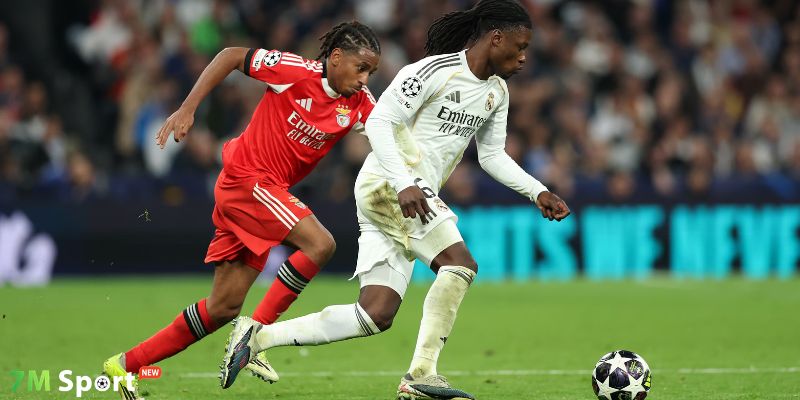 Các dạng bắt rung phổ biến trong cá cược bóng đá